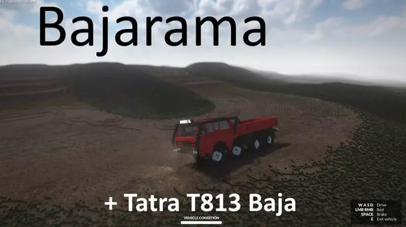 Bajarama + T813 Teardown